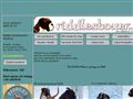 Puppies for sale from http://www.riddlesboxer.com/